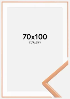 Ramme New Lifestyle Apricot 70x100 cm - Passepartout Hvid 60x90 cm
