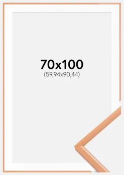 Ramme New Lifestyle Apricot 70x100 cm - Passepartout Hvid 24x36 inches