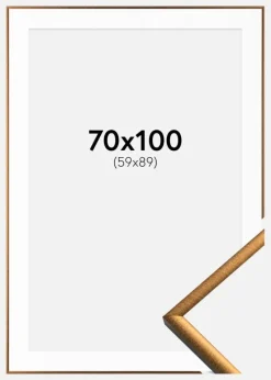 Ramme New Lifestyle Bronze 70x100 cm - Passepartout Hvid 60x90 cm