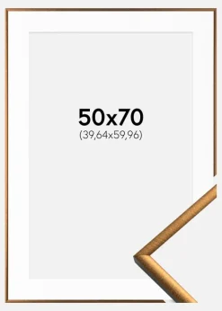 Ramme New Lifestyle Bronze 50x70 cm - Passepartout Hvid 16x24 inches