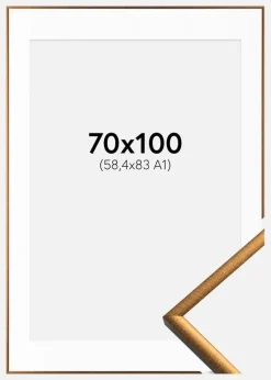 Ramme New Lifestyle Bronze 70x100 cm - Passepartout Hvid 59,4x84 cm (A1)