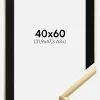 Ramme New Lifestyle Guld 40x60 cm - Passepartout Sort 32,9x48,3 cm (A3+)