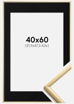Ramme New Lifestyle Guld 40x60 cm - Passepartout Sort 32,9x48,3 cm (A3+)