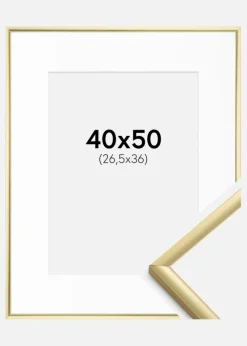 Ramme New Lifestyle Guld 40x50 cm - Passepartout Hvid 27,5x37 cm
