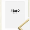 Ramme New Lifestyle Guld 45x60 cm - Passepartout Hvid 32x45 cm