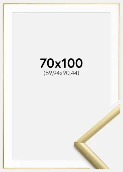 Ramme New Lifestyle Guld 70x100 cm - Passepartout Hvid 24x36 inches