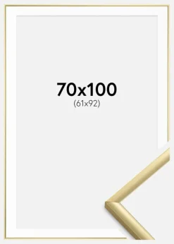Ramme New Lifestyle Guld 70x100 cm - Passepartout Hvid 62x93 cm