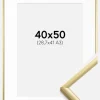 Ramme New Lifestyle Guld 40x50 cm - Passepartout Hvid 29,7x42 cm (A3)