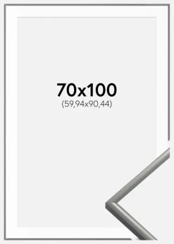 Ramme New Lifestyle Lysegrå 70x100 cm - Passepartout Hvid 24x36 inches