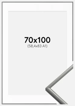 Ramme New Lifestyle Lysegrå 70x100 cm - Passepartout Hvid 59,4x84 cm (A1)