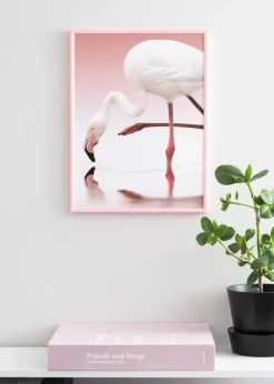 Ramme New Lifestyle Lyserød 70x100 cm - Passepartout Hvid 24x36 inches