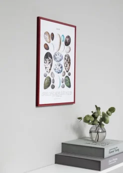 Ramme New Lifestyle Rød 70x100 cm - Passepartout Hvid 50x85 cm