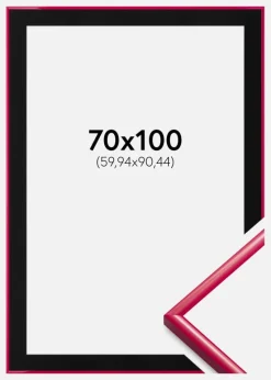 Ramme New Lifestyle Rose 70x100 cm - Passepartout Sort 24x36 inches