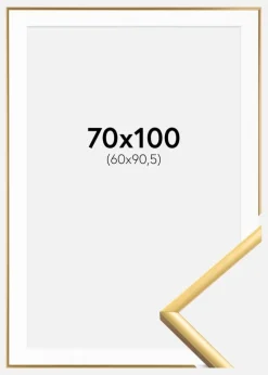 Ramme New Lifestyle Shiny Gold 70x100 cm - Passepartout Hvid 61x91,5 cm