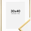 Ramme New Lifestyle Shiny Gold 30x40 cm - Passepartout Hvid 21x29,7 cm (A4)