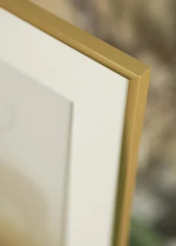 Ramme New Lifestyle Shiny Gold 60x80 cm - Passepartout Hvid 50x60 cm