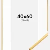 Ramme New Lifestyle Shiny Gold 40x60 cm - Passepartout Hvid 25x50 cm