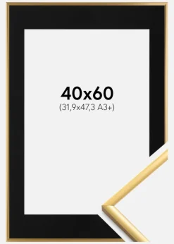 Ramme New Lifestyle Shiny Gold 40x60 cm - Passepartout Sort 32,9x48,3 cm (A3+)
