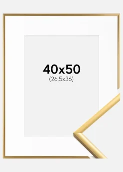Ramme New Lifestyle Shiny Gold 40x50 cm - Passepartout Hvid 27,5x37 cm