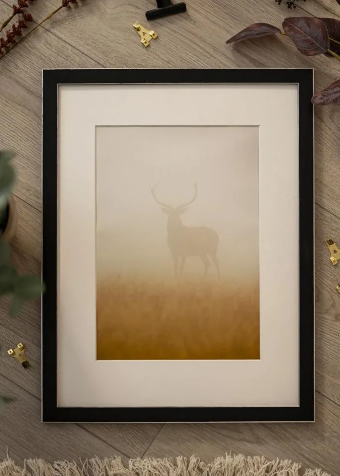 Ramme New York Sort - Valgfri Størrelse (Plexiglas)