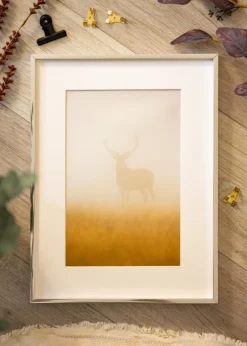 Ramme Nielsen Premium Alpha Blank Sølv - Valgfri Størrelse (Plexiglas)