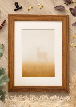 Ramme Nora - Valgfri Størrelse (Plexiglas)