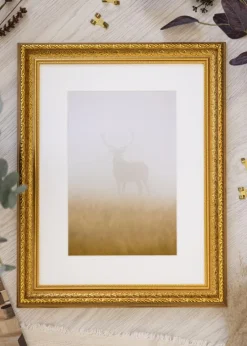 Ramme Ornate Guld 40x50 cm - Passepartout Hvid 30x40 cm