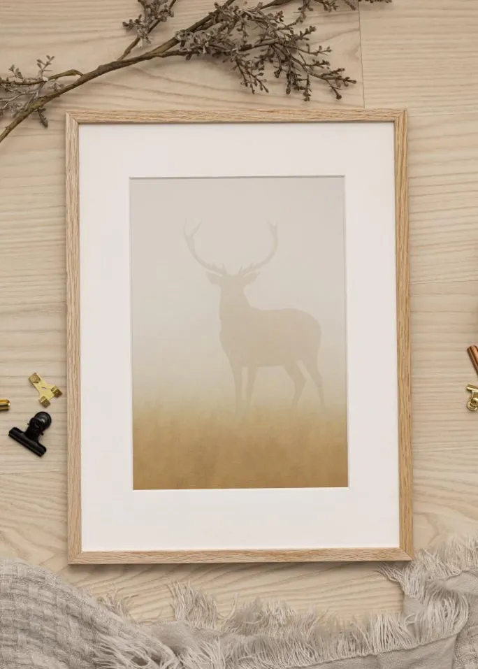 Ramme Oslo Akrylglas Eg 60x80 cm