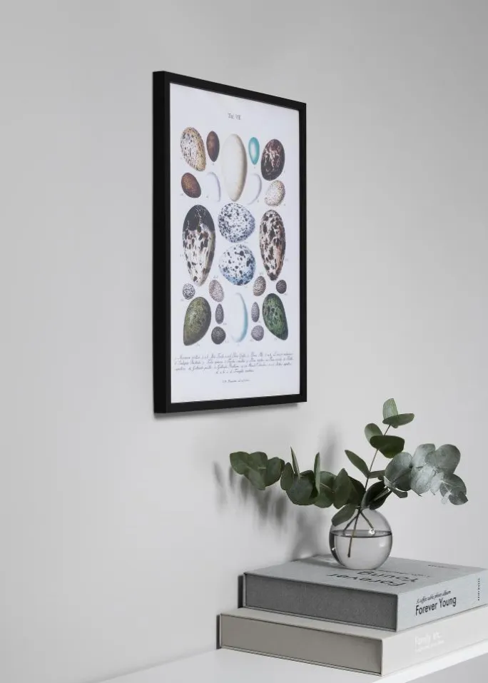 Ramme Oslo Sort 40x50 cm - Passepartout Sort 27,5x37 cm