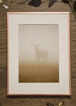 Ramme Poster Frame Aluminum Rosaguld 70x100 cm - Passepartout Hvid 59,4x84 cm