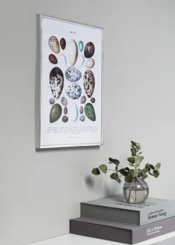 Ramme Poster Frame Aluminum Sølv 70x100 cm - Passepartout Sort 62x85 cm