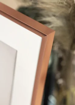 Ramme Poster Frame Aluminum Rosaguld 70x100 cm - Passepartout Hvid 62x93 cm