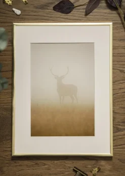 Ramme Poster Frame Aluminum Gold 60x80 cm - Passepartout Hvid 50x60 cm