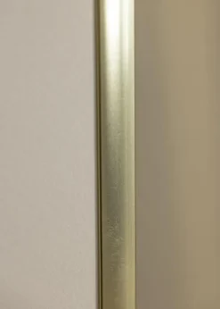 Ramme Poster Frame Aluminum Gold 70x100 cm - Passepartout Hvid 62x93 cm