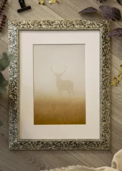 Ramme Ralph Sølv - Valgfri Størrelse (Plexiglas)