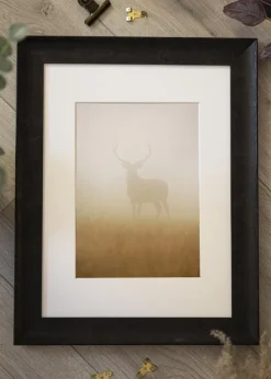 Ramme Ribe Svart Rotfanér - Valgfri Størrelse (Plexiglas)