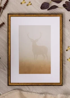 Ramme Ringa Akrylglas Guld 29,7x42 cm (A3)