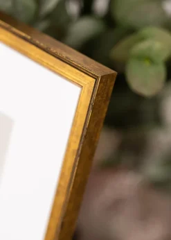 Ramme Ringa Akrylglas Guld 42x59,4 cm (A2)