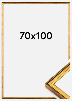 Ramme Ringa Akrylglas Guld 70x100 cm