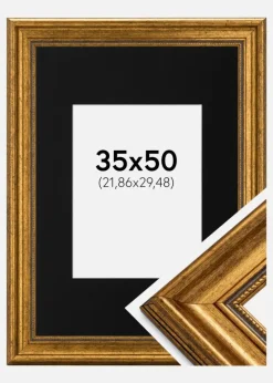 Ramme Rokoko Guld 35x50 cm - Passepartout Sort 9x12 inches