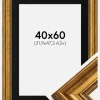 Ramme Rokoko Guld 40x60 cm - Passepartout Sort 32,9x48,3 cm (A3+)
