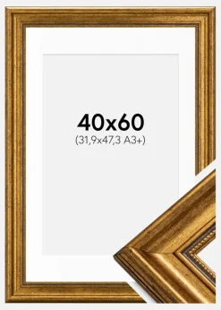 Ramme Rokoko Guld 40x60 cm - Passepartout Hvid 32,9x48,3 cm (A3+)