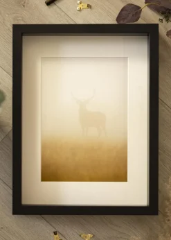 Ramme Sala Sort - Valgfri Størrelse (Plexiglas)