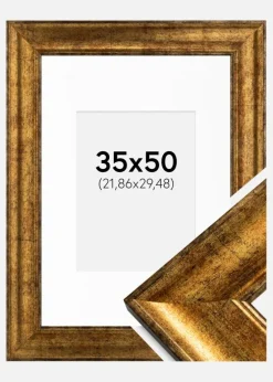 Ramme Saltsjöbaden Guld 35x50 cm - Passepartout Hvid 9x12 inches