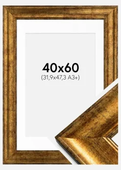 Ramme Saltsjöbaden Guld 40x60 cm - Passepartout Hvid 32,9x48,3 cm (A3+)