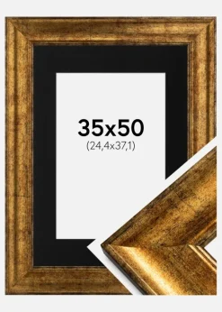 Ramme Saltsjöbaden Guld 35x50 cm - Passepartout Sort 10x15 inches