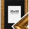 Ramme Saltsjöbaden Guld 35x50 cm - Passepartout Sort 9x12 inches