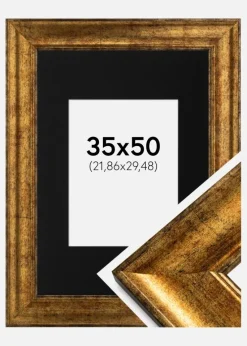 Ramme Saltsjöbaden Guld 35x50 cm - Passepartout Sort 9x12 inches