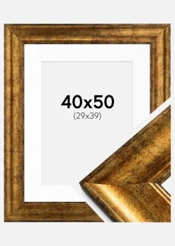 Ramme Saltsjöbaden Guld 40x50 cm - Passepartout Hvid 30x40 cm