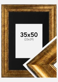 Ramme Saltsjöbaden Guld 35x50 cm - Passepartout Sort 24x30 cm